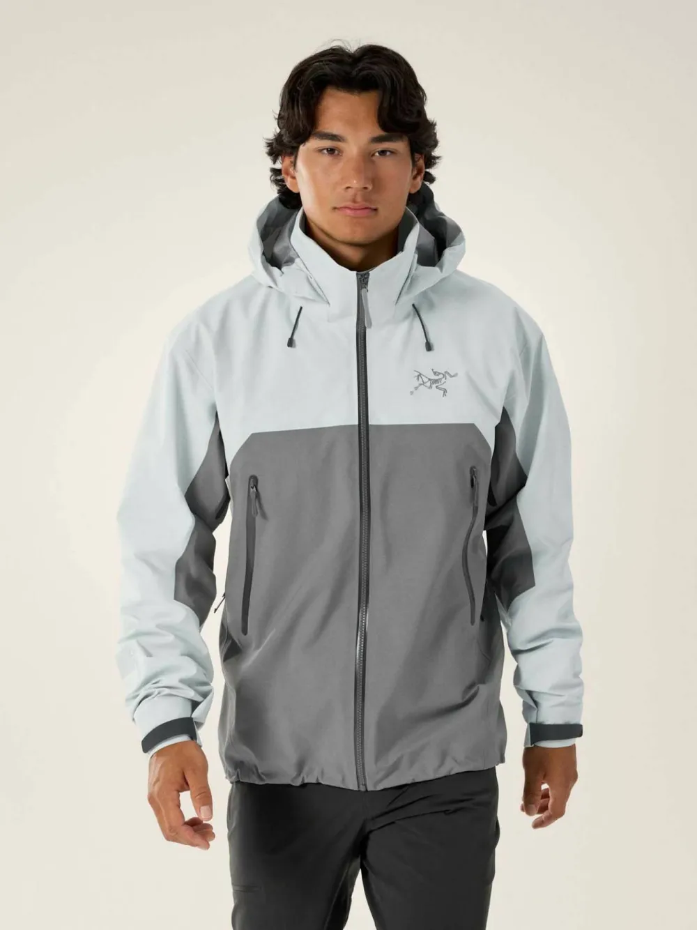 Arc'teryx Men's Beta Ar Jacket Solitude / Void