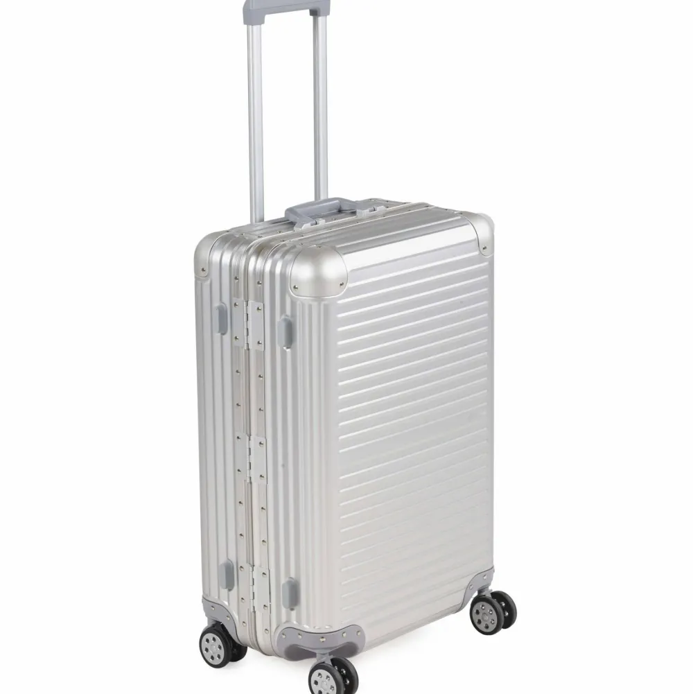 Arctic Tern Alu Trolley M Silver Sale