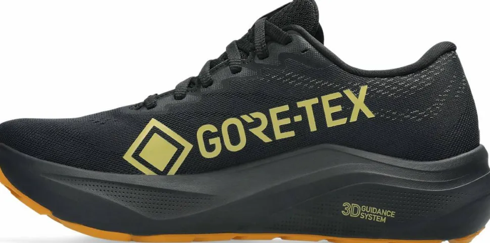 Asics Women's GT-2000 14 GORE-TEX Black/Vanilla