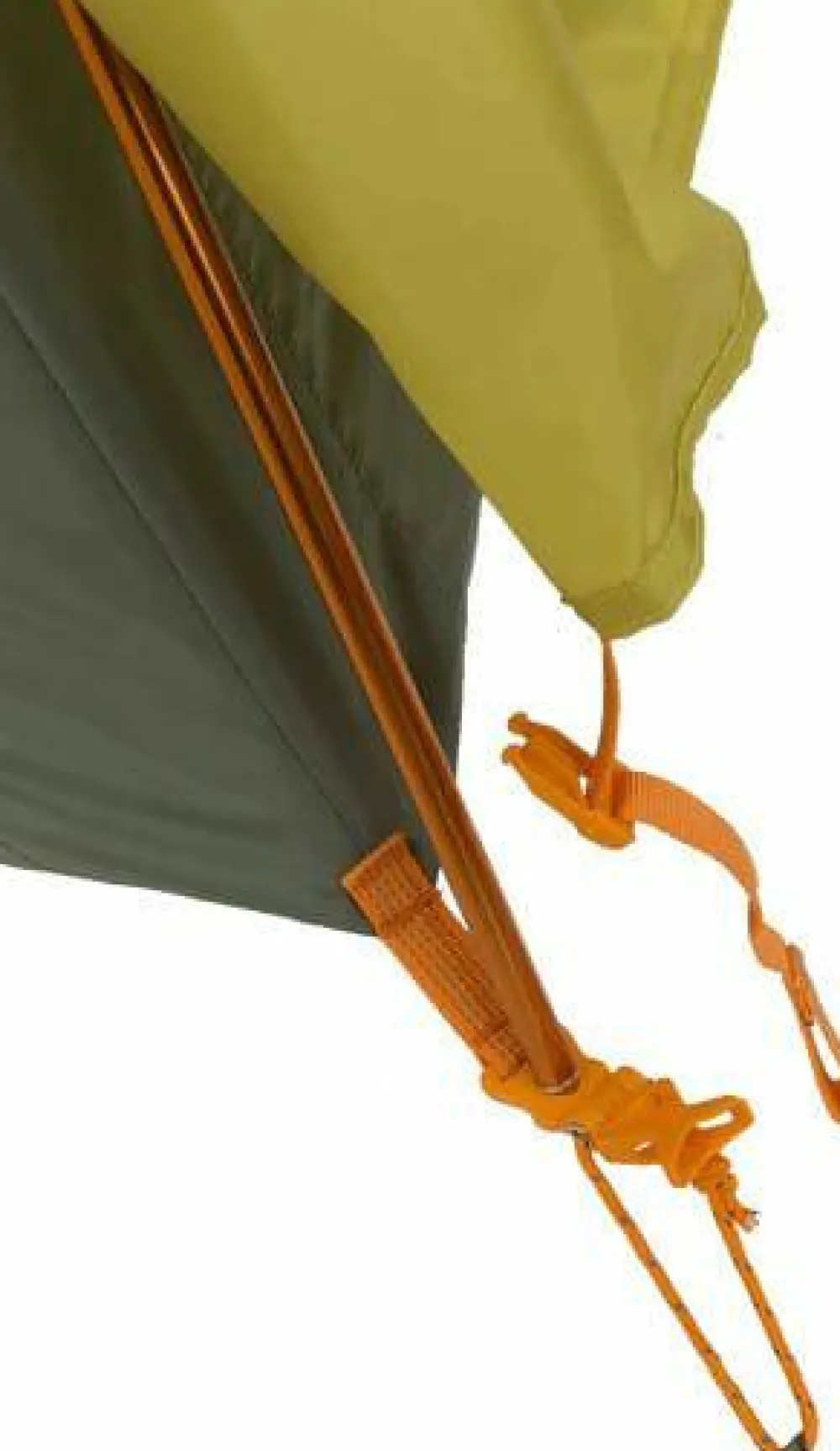 Big Agnes Blacktail 2 Warm Olive/Chinois Green Sale