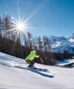 Sale Serpo Skidor