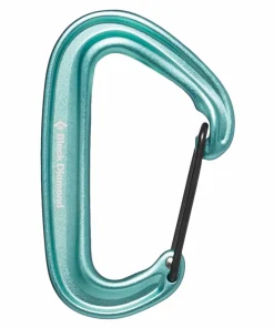 Black Diamond MiniWire Carabiner Minted