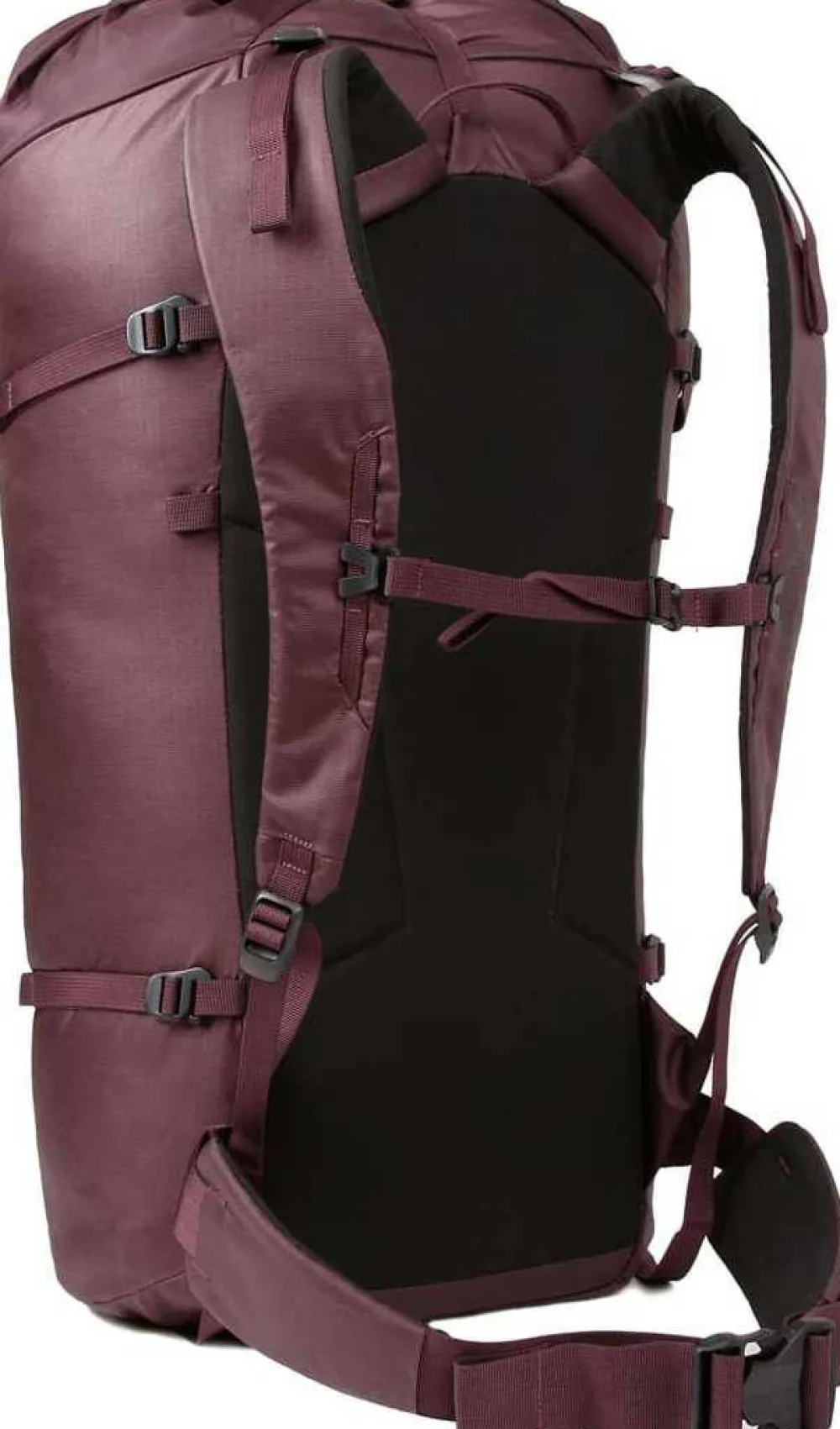 Blue Ice Warthog 40L Winetasting No color Discount