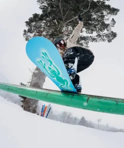 Discount Blossom Snowboard