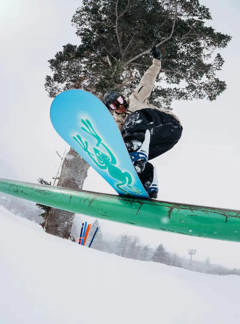 Discount Blossom Snowboard