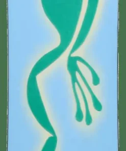 Discount Blossom Snowboard