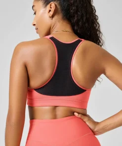 Best Women's Iconic Sports Bra Sport-Bh:Ar