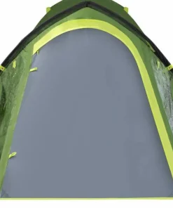 Coleman Tent Darwin 2 Plus Blackout Green-green New
