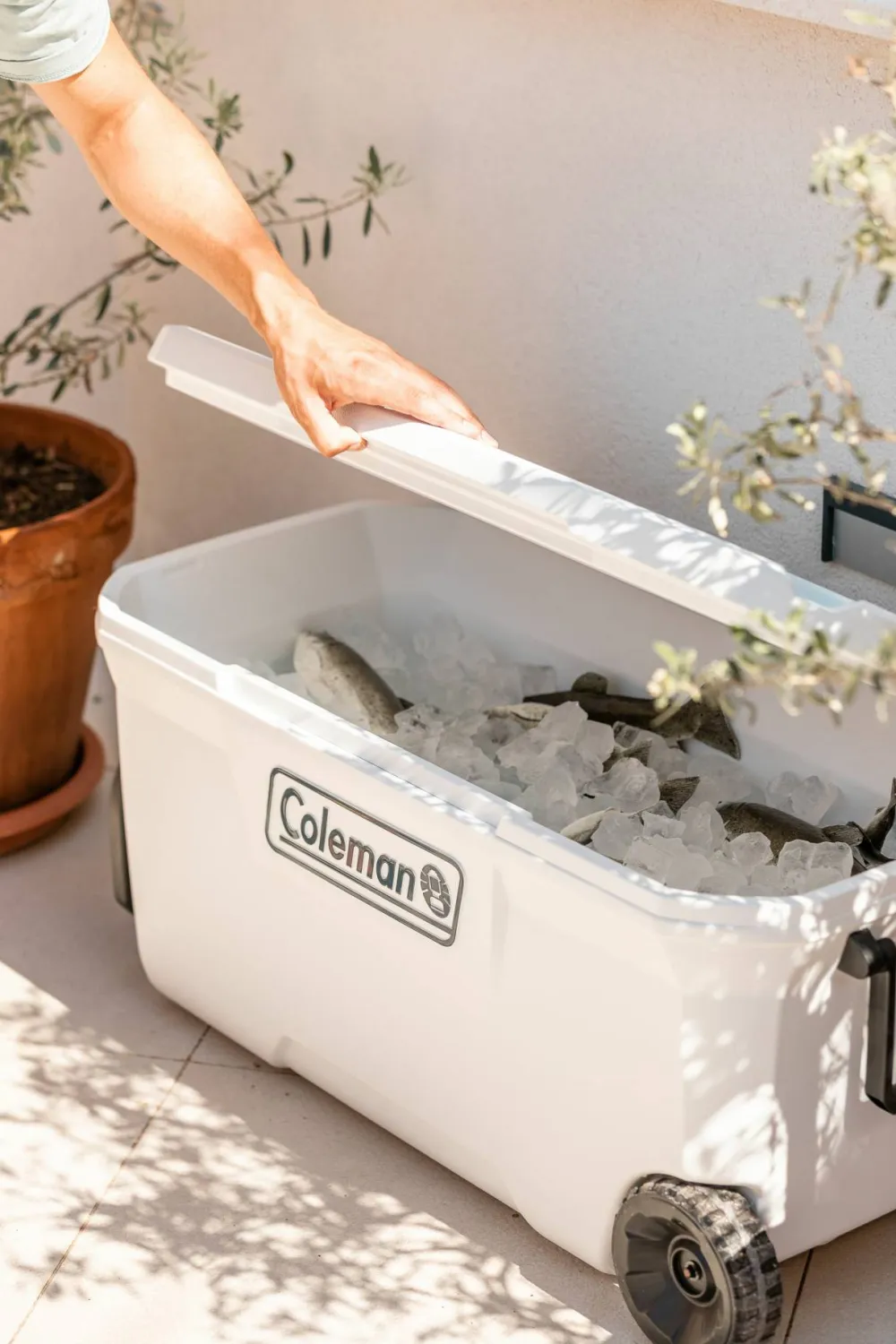 Coleman Xtreme Marine Wheeled 100 QT White Online