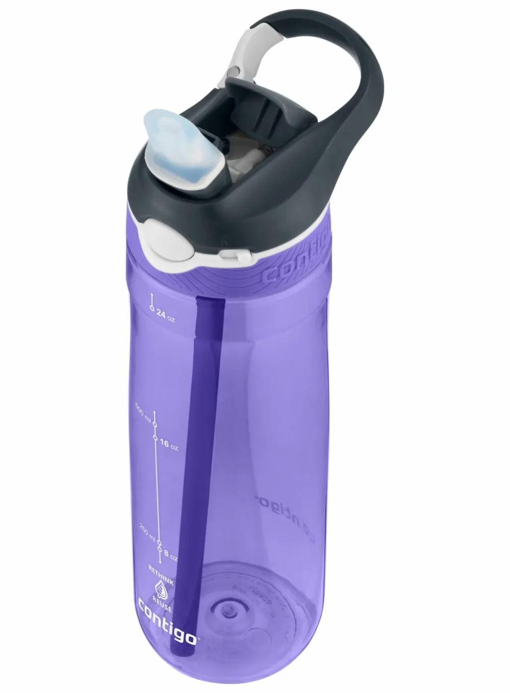 Contigo Ashland Water Bottle Grapevine New