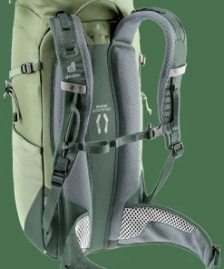 Deuter Men's Trail 24L Grove-ivy
