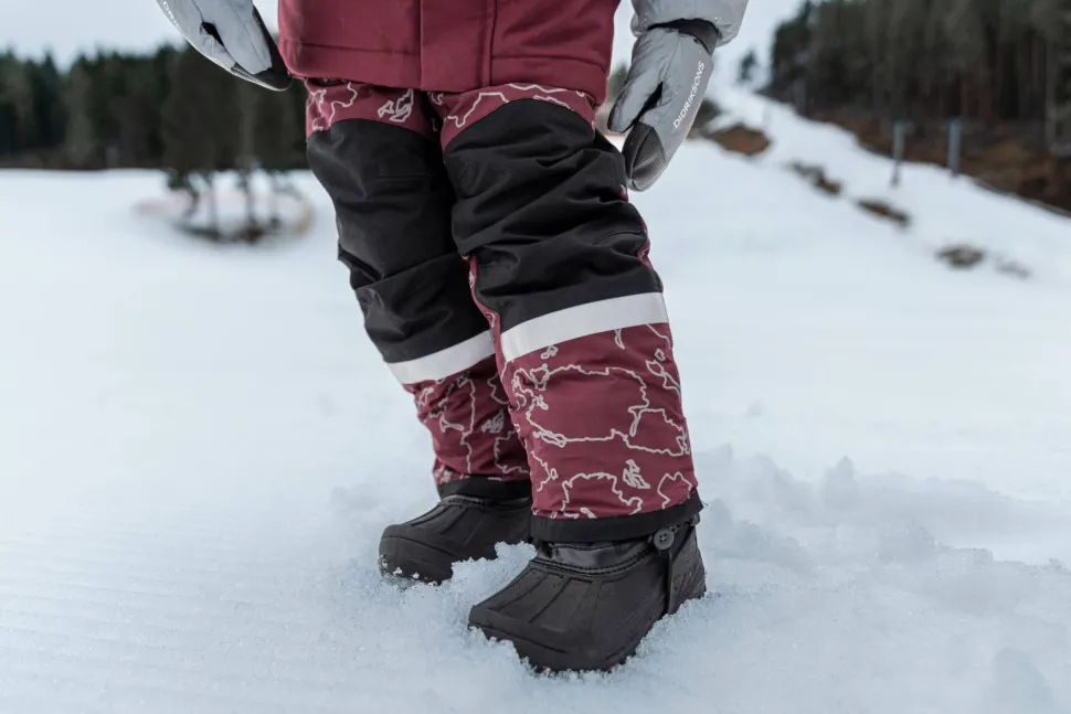 Didriksons Kids' Idre Special Edition Pants Grundsund Reflective Wine