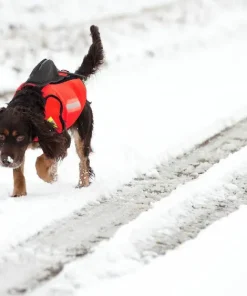 Dogtech GPS Vest Hivis Red Outlet
