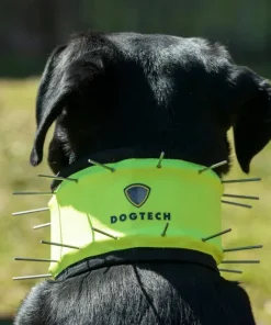 Dogtech Neck 2022 Hivis Yellow Outlet