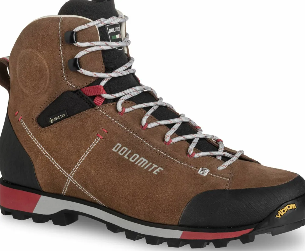 Dolomite Men's 54 Hike Evo GORE-TEX Bronze Brown Sale