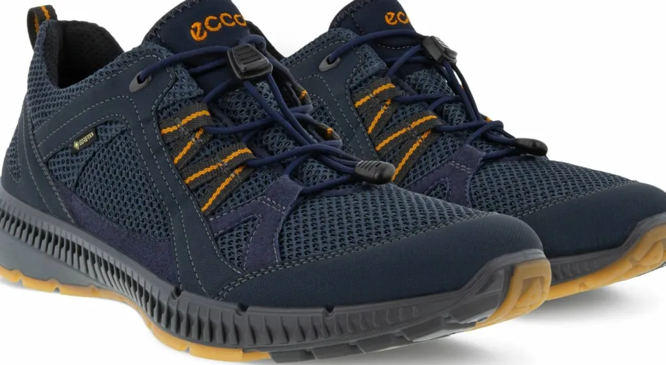 Ecco Men's Ecco Terracruise II Gore-Tex Marine/Night Sky