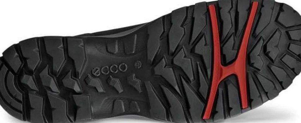 Ecco Men's Ecco Xpedition Iii Wp/Wl Black
