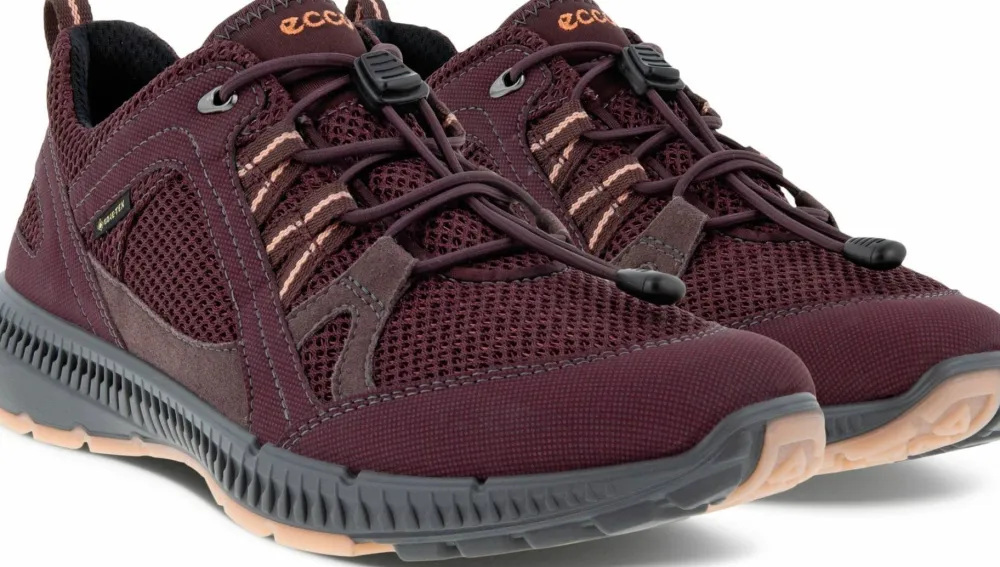 Ecco Women's Terracruise II Gtx Tex Fig/Fig