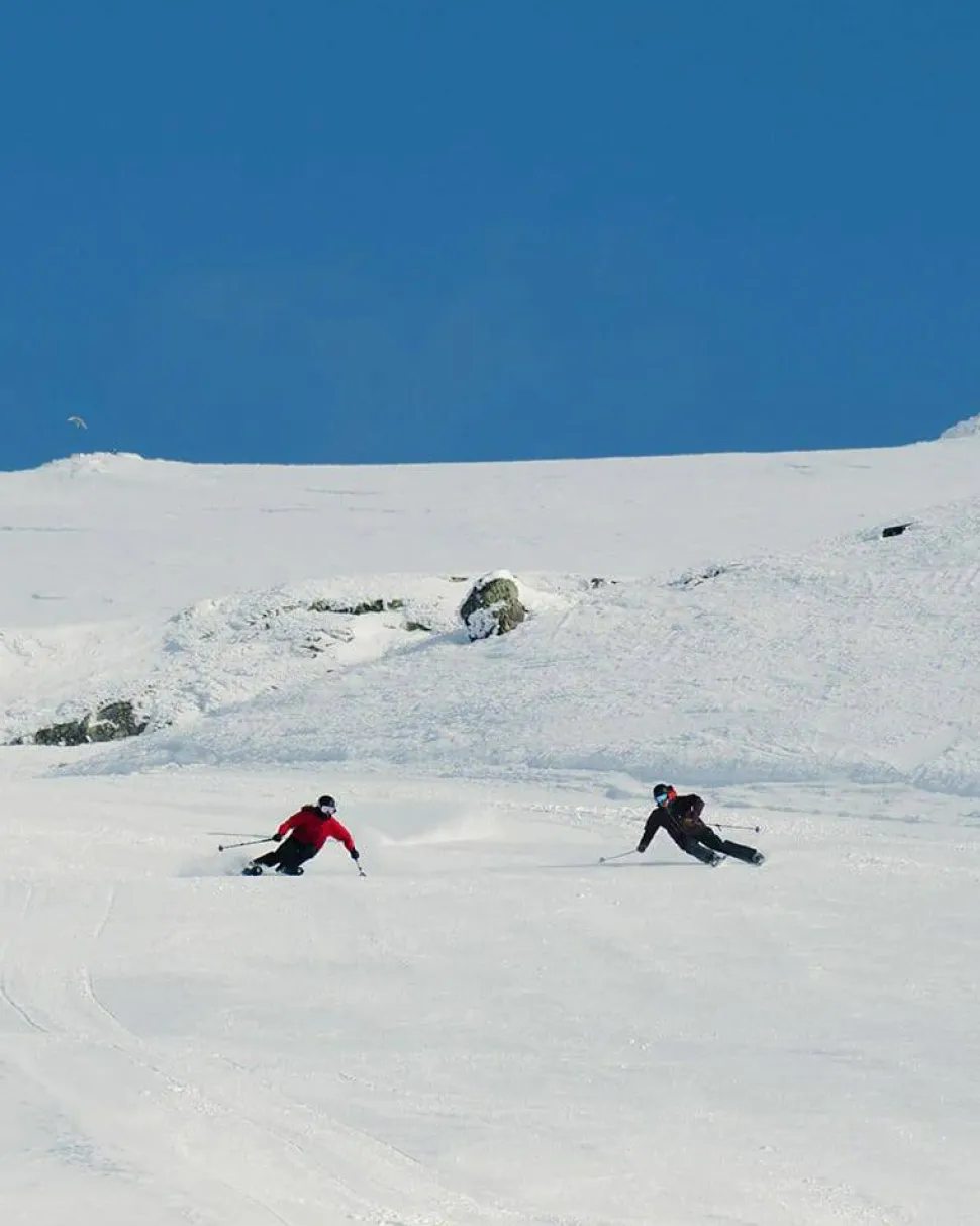 Extrem Skis Formula 88 Yellow/Black