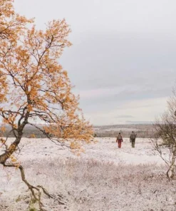 Fjällräven Singi 48 Dark Olive Best