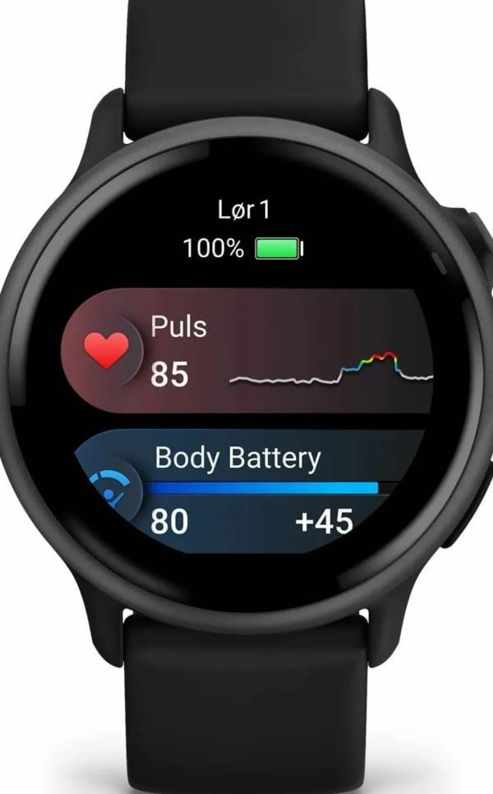 Garmin Vivoactive 6 Black/Slate