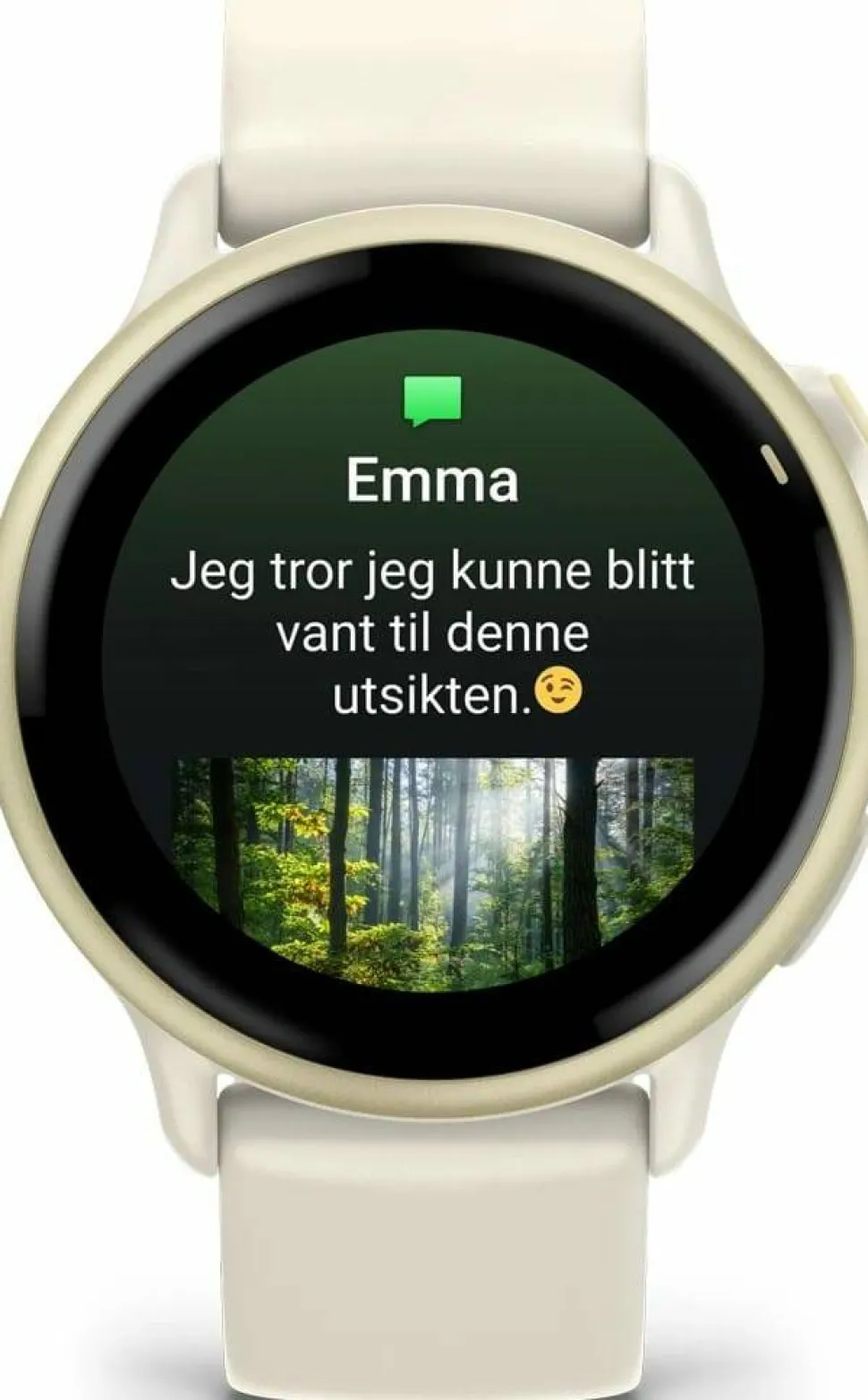 Garmin Vivoactive 6 Bone/Lunar Gold