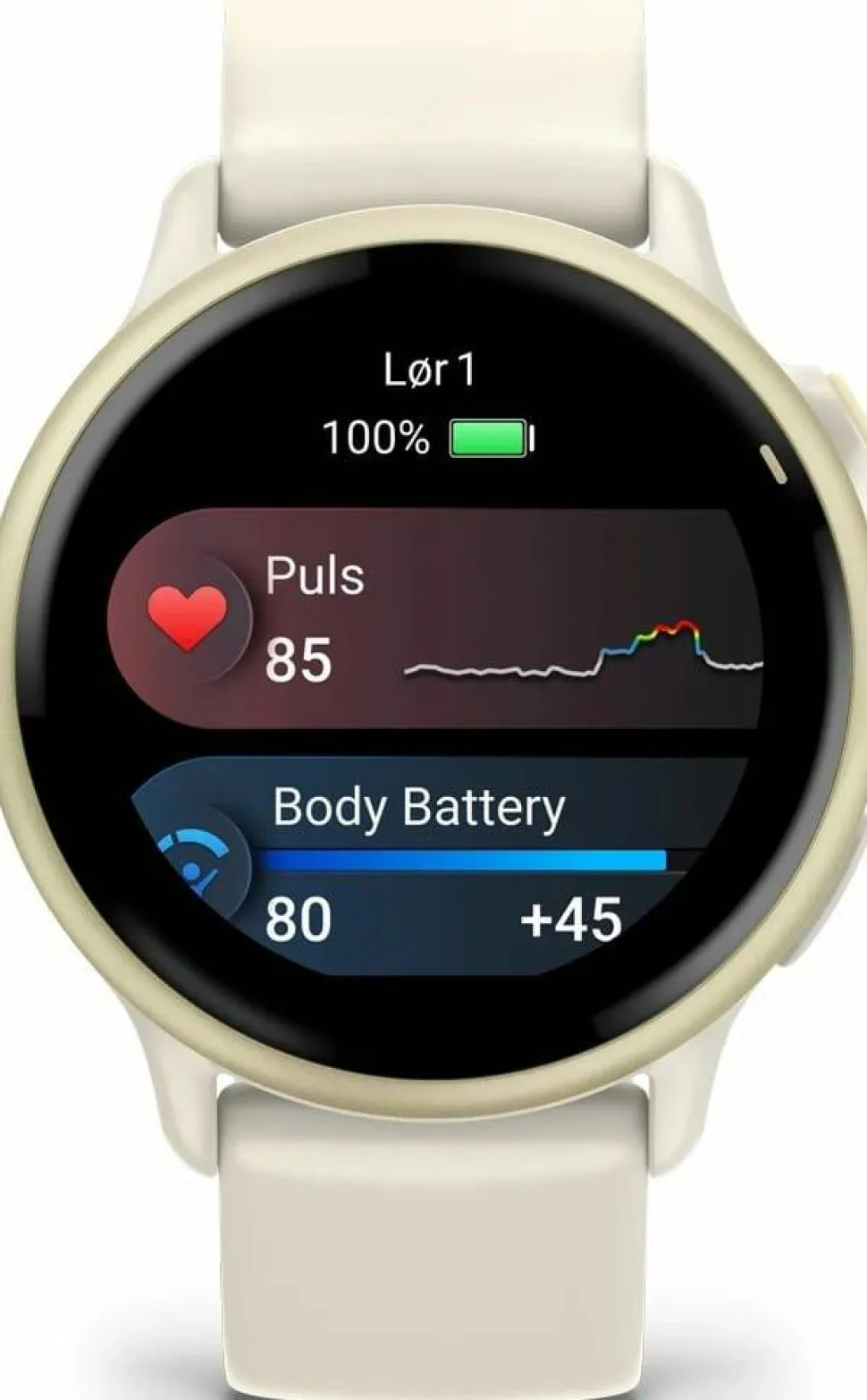 Garmin Vivoactive 6 Bone/Lunar Gold