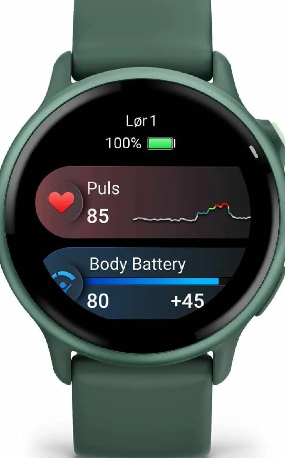 Online Vivoactive 6 Elektronik|Cykel
