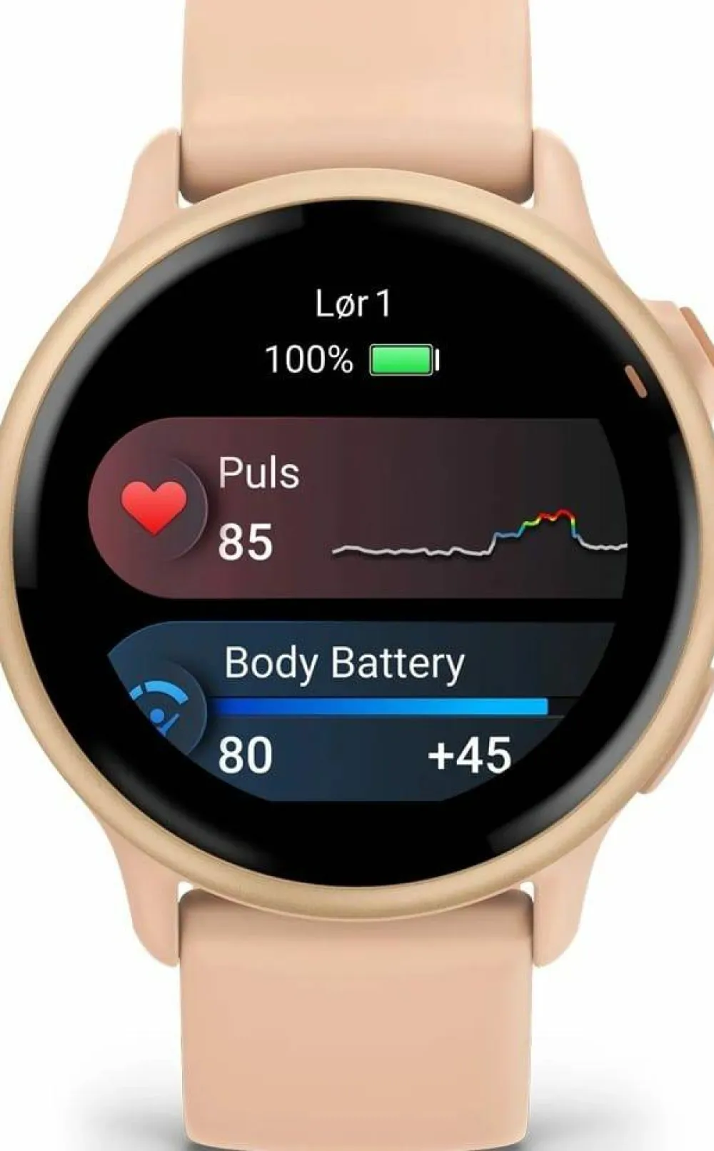 Garmin Vivoactive 6 Pink Dawn/P. Dawn Metallic Online