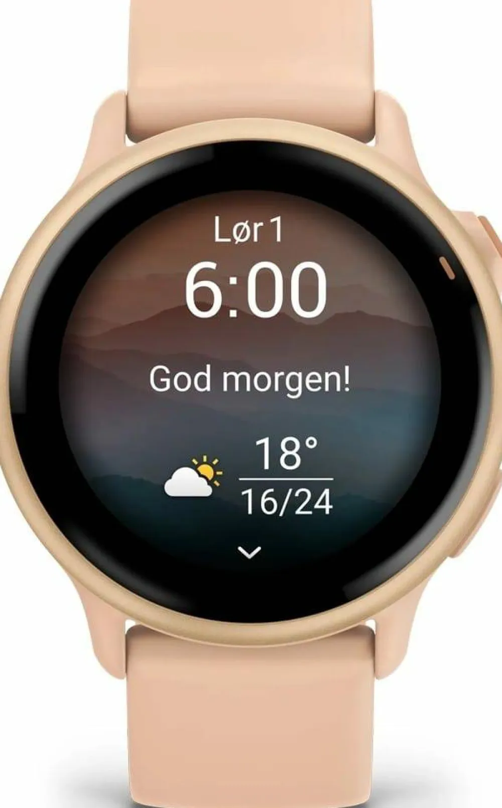 Garmin Vivoactive 6 Pink Dawn/P. Dawn Metallic Online