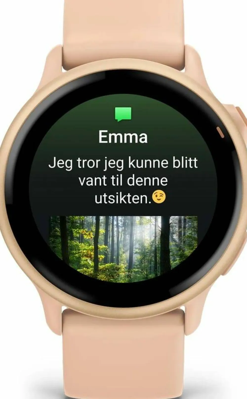 Garmin Vivoactive 6 Pink Dawn/P. Dawn Metallic Online