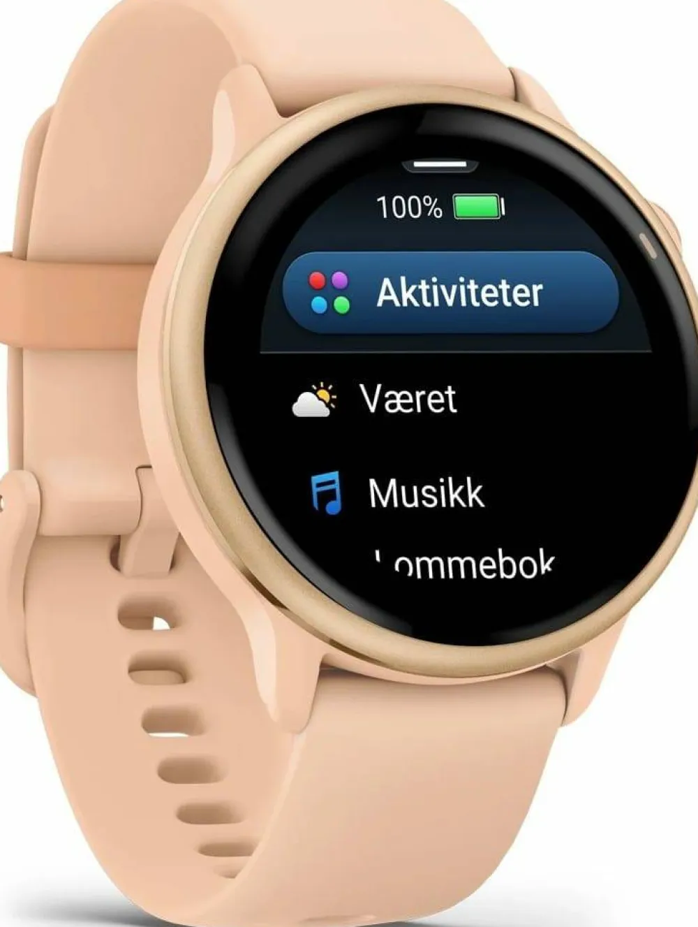 Garmin Vivoactive 6 Pink Dawn/P. Dawn Metallic Online