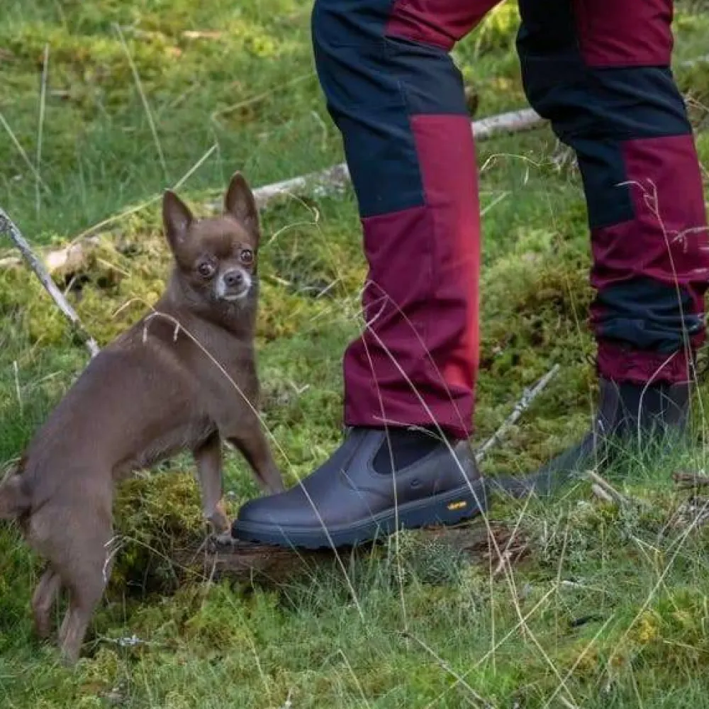 Clearance Unisex Åreskutan Vardagsskor Herr