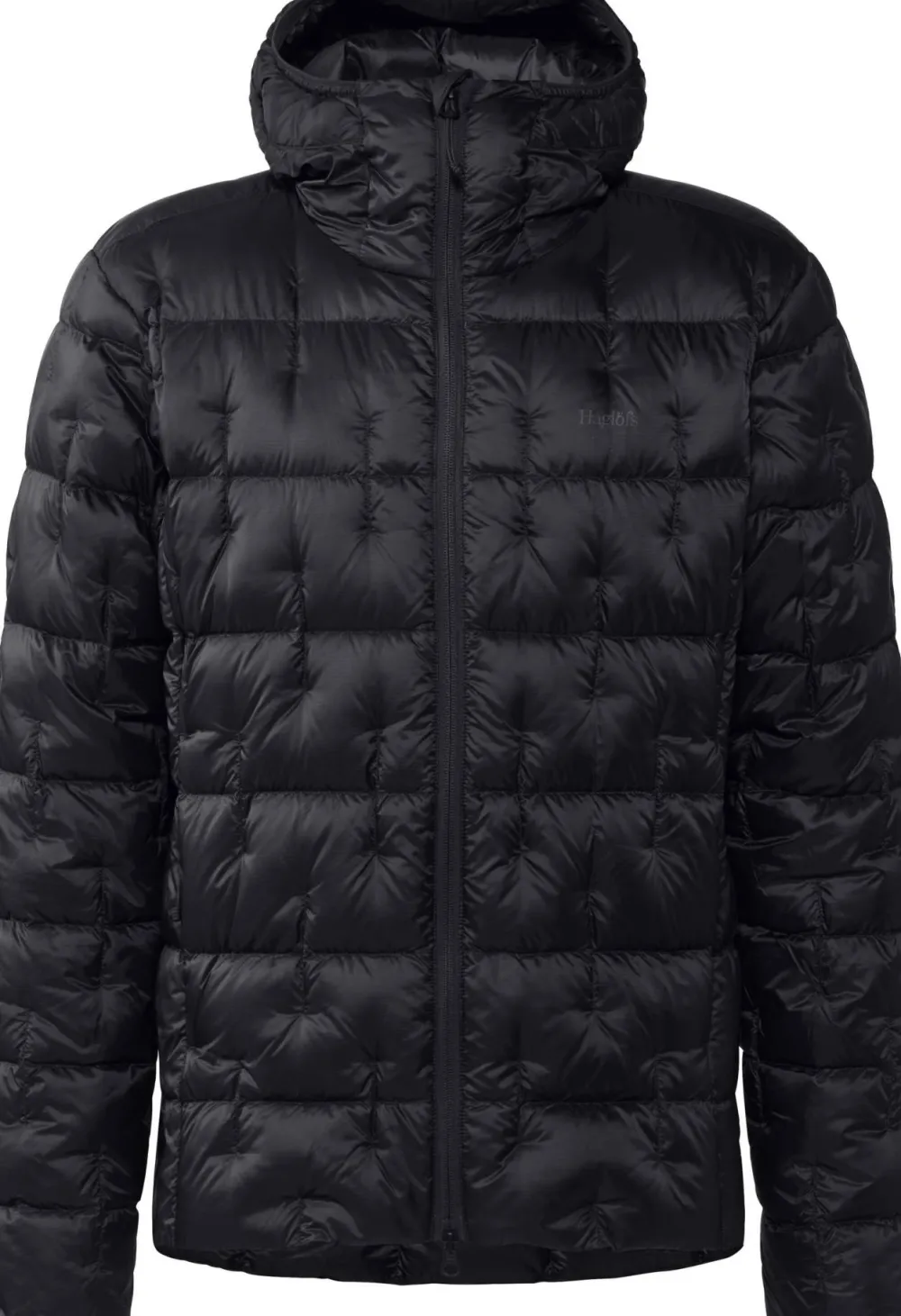 New Men's Hede Down Hood Herrjackor