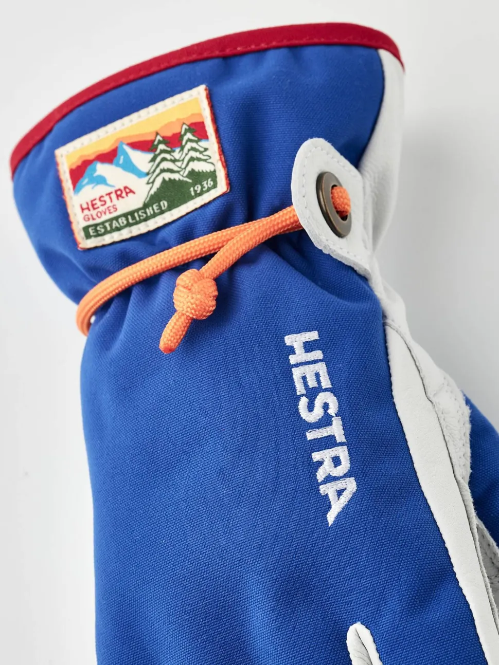Hestra Kids' Wakayama Jr - 5 Finger Royal Blue