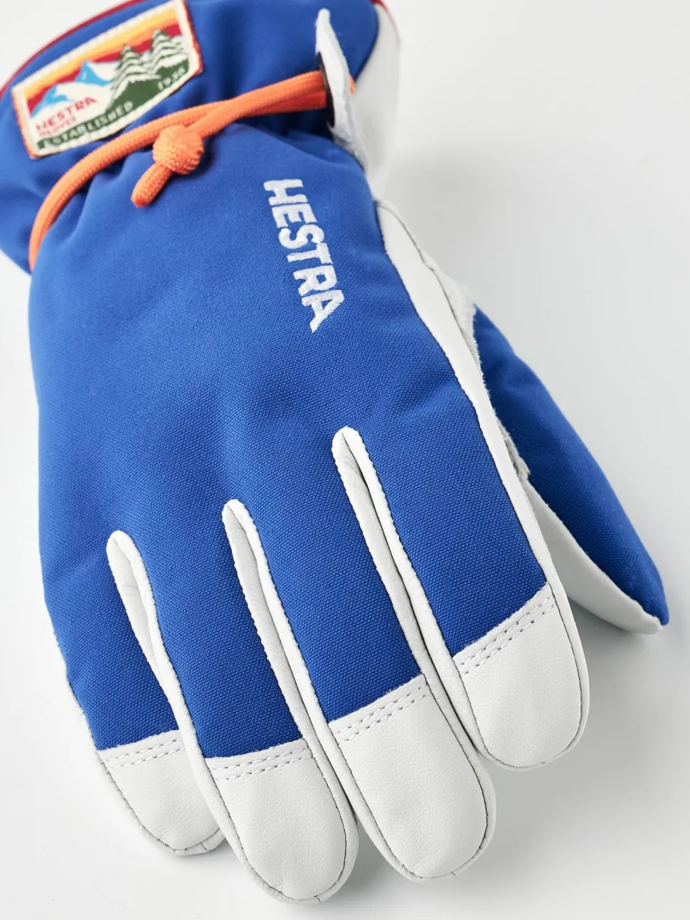 Hestra Kids' Wakayama Jr - 5 Finger Royal Blue