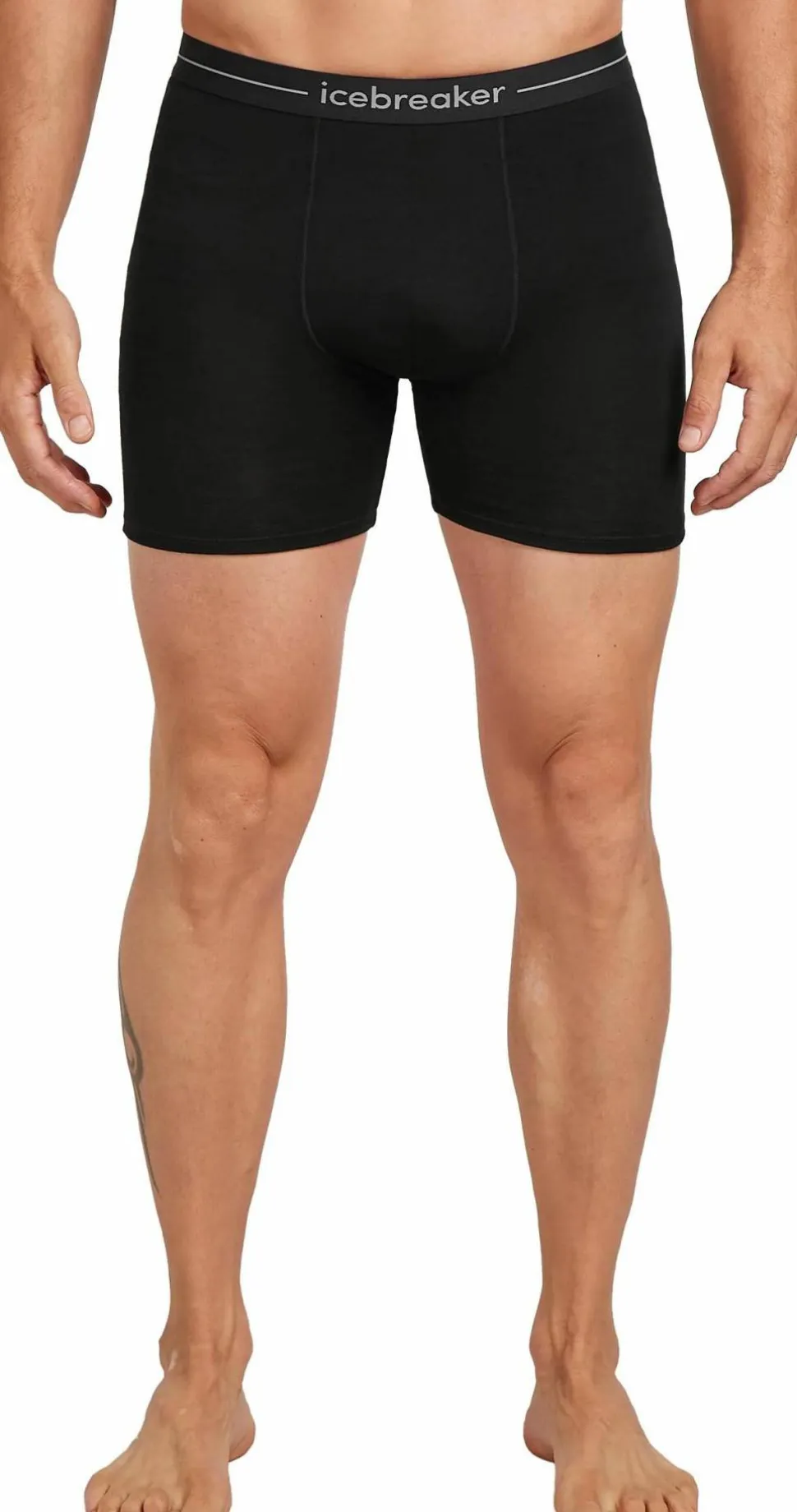 Icebreaker Men's Anatomica Long Boxers Black