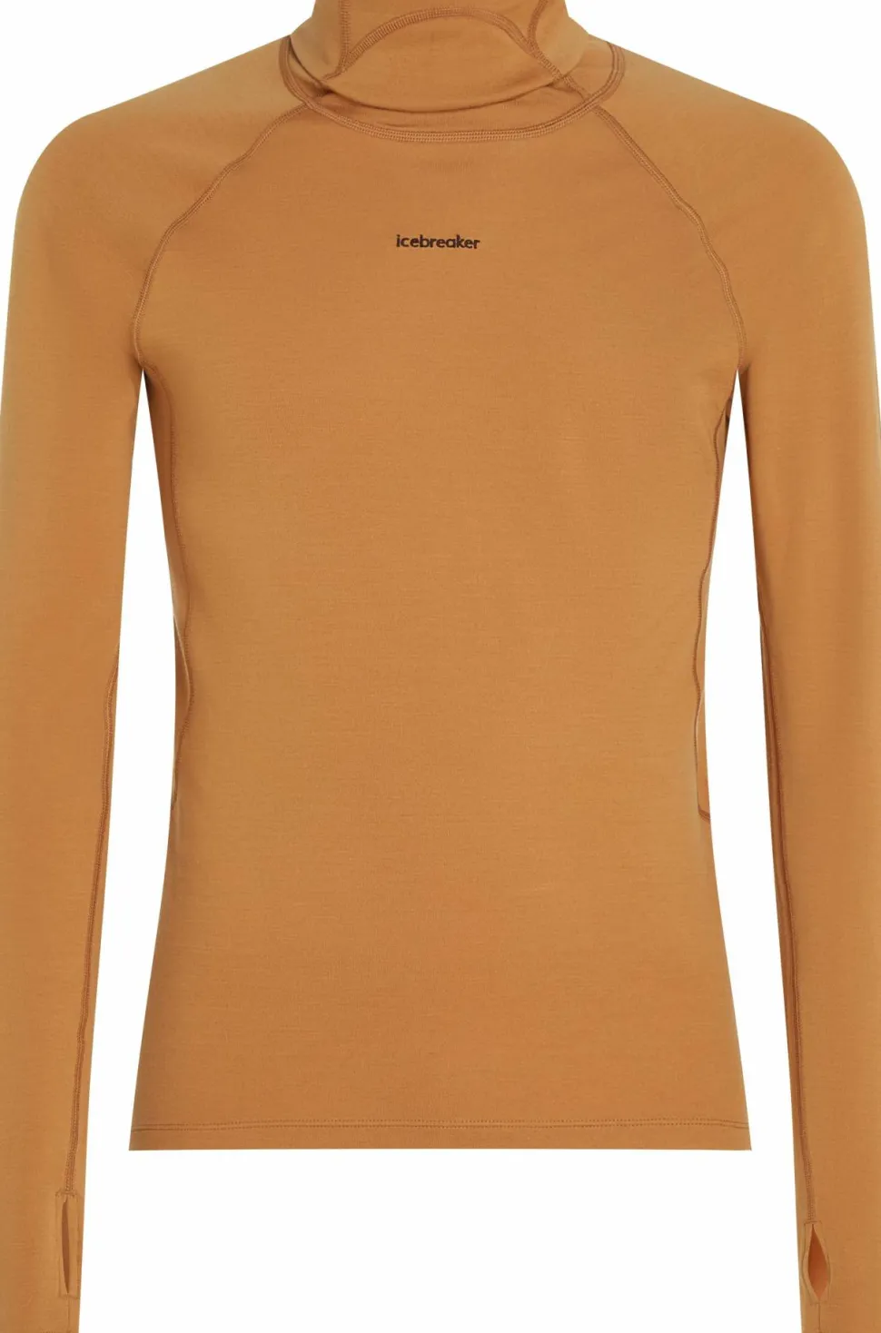 Icebreaker Men's Merino 300 Merinofine™ Polar Long Sleeve Roll Neck Trail
