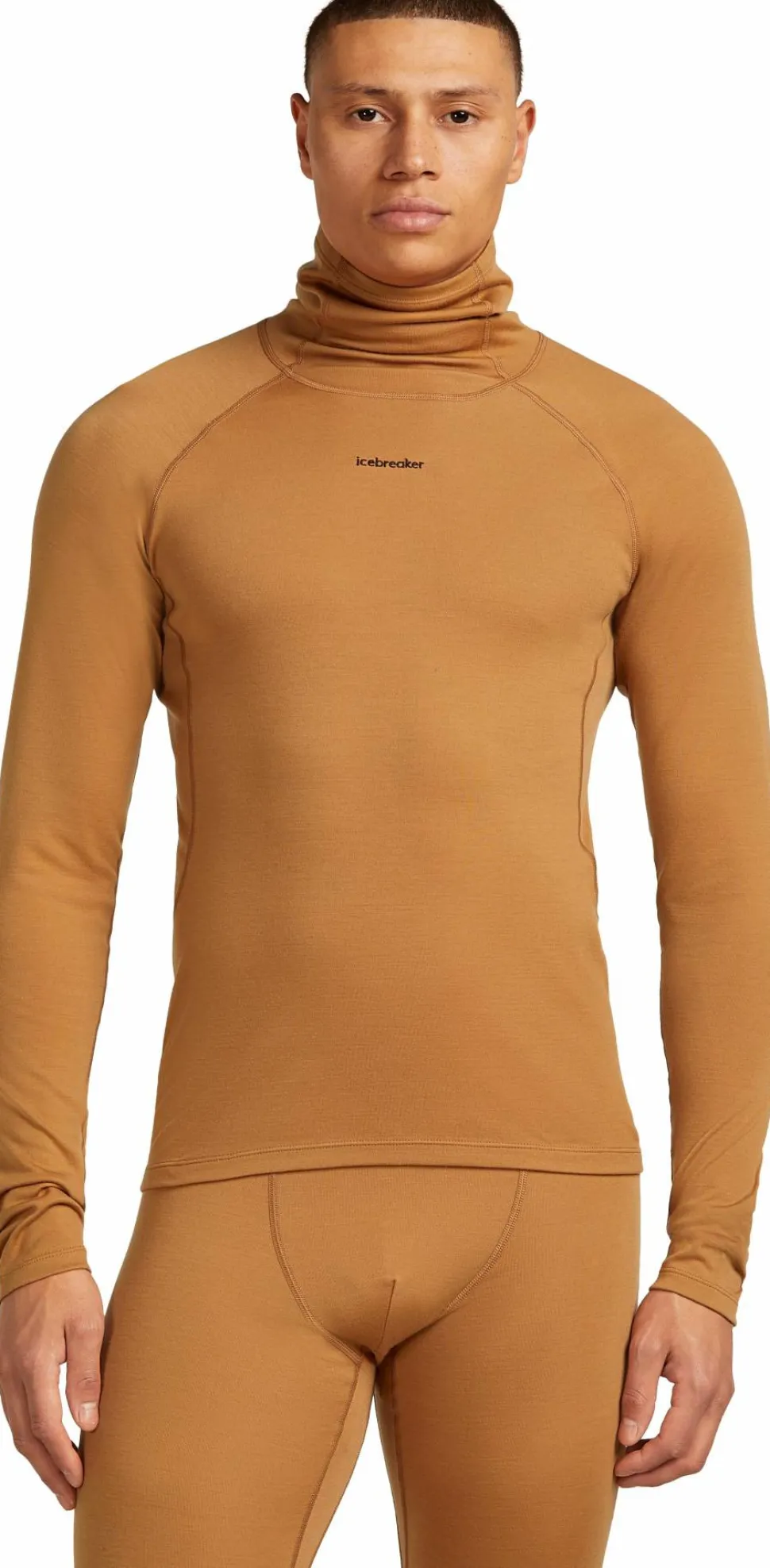 Icebreaker Men's Merino 300 Merinofine™ Polar Long Sleeve Roll Neck Trail