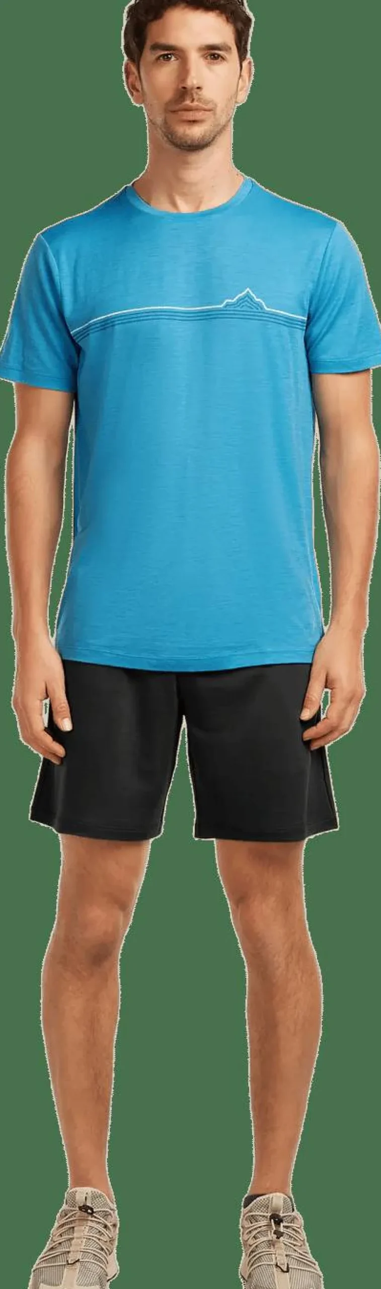 Icebreaker Men's Merino 150 Tech Lite Ss Tee Range Stripes Arctic Best