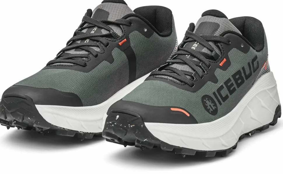 Icebug Women's Arcus 2 BUGrip GORE-TEX Grey