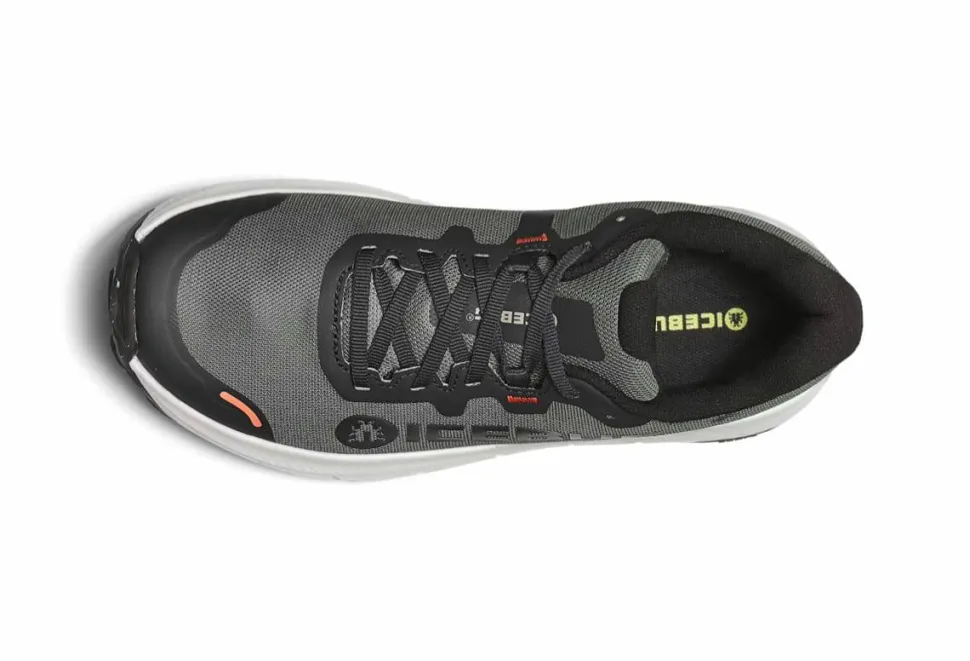 Icebug Women's Arcus 2 BUGrip GORE-TEX Grey