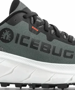 Icebug Women's Arcus 2 BUGrip GORE-TEX Grey