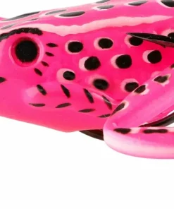 iFish Frog Pink Outlet
