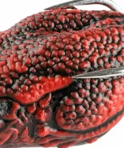 iFish Froggy Red