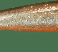 iFish The Demon Shad 21 cm Silver Sally