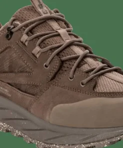 Jack Wolfskin Men's Terraquest Texapore Low Bear Hot
