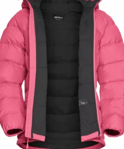 Women's Ather Down Hoody Damjackor