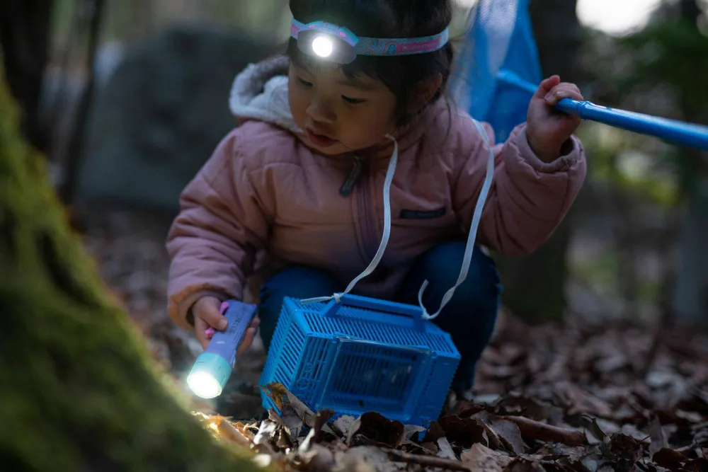 Led Lenser Kidbeam4 Purple New