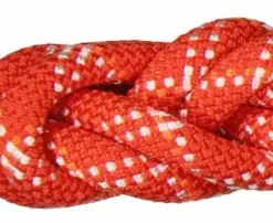 Mammut 9.5 Gym Classic Rope 50m Raspberry-white